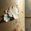 how to remove spray paint from metal